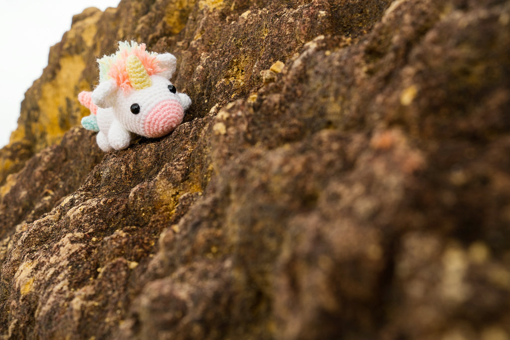 We have been scammed :'(