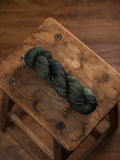 Hand Dyed Yarn by KAIJUU Fibers 2025 Sep Batch