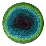 Scheepjes Cotton Whirl - 100% Organic Cotton