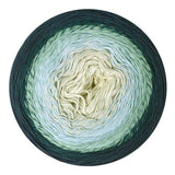 Scheepjes Cotton Whirl - 100% Organic Cotton