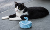Meow Meow Trinket Dish Pattern & Kit