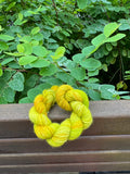 Hand Dyed Yarn by Nirani Luxe Yarns 2025 Mar Batch