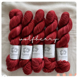 Hand Dyed Yarn by Myyarnstoryco 2025 Jan Batch