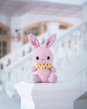 Bunny Chan Amigurumi Pattern & Kit