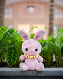 Bunny Chan Amigurumi Pattern & Kit